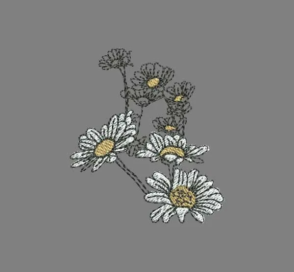 Embroidery Design Daisies Set